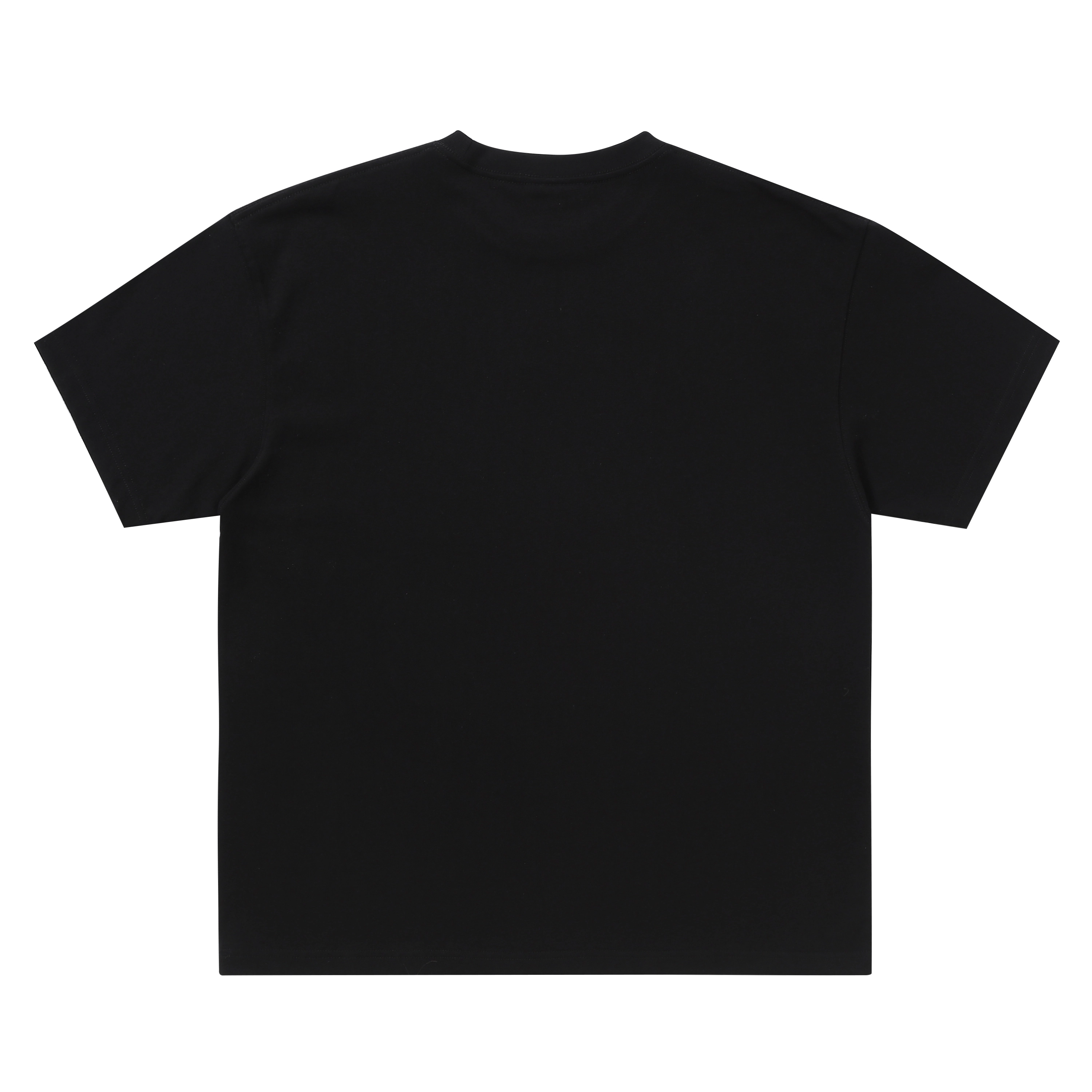 Makemore T