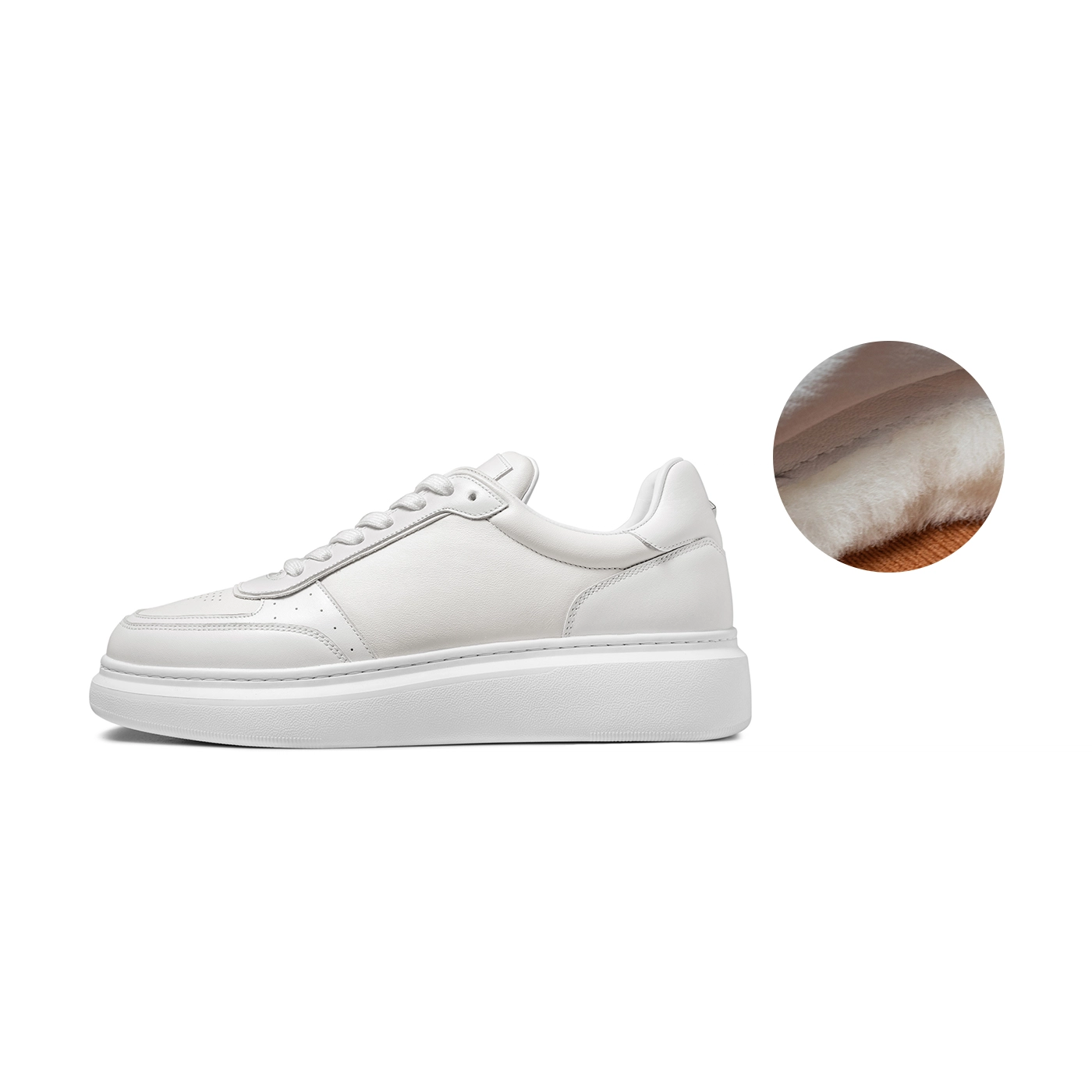 THOM WILLS trainer