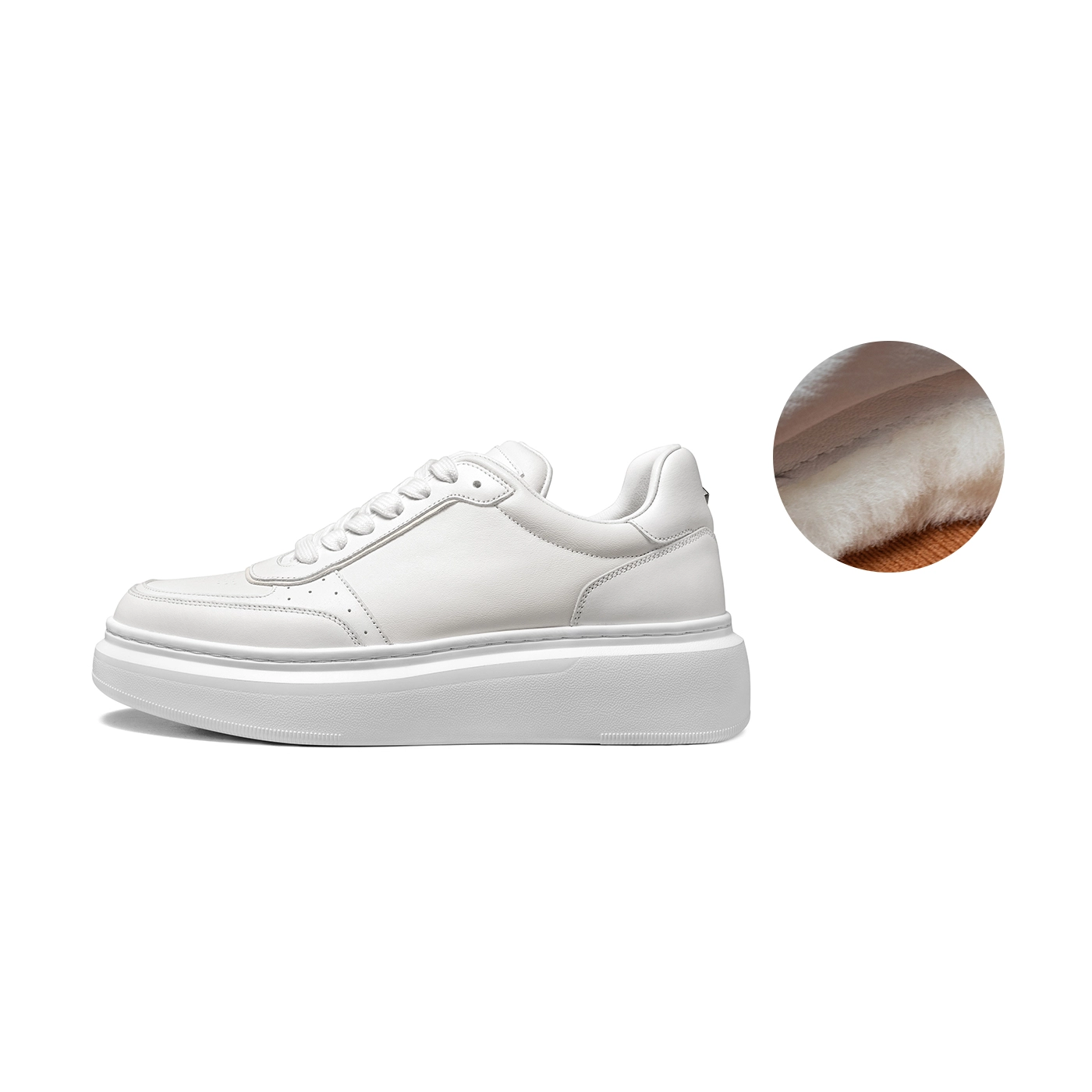 THOM WILLS trainer