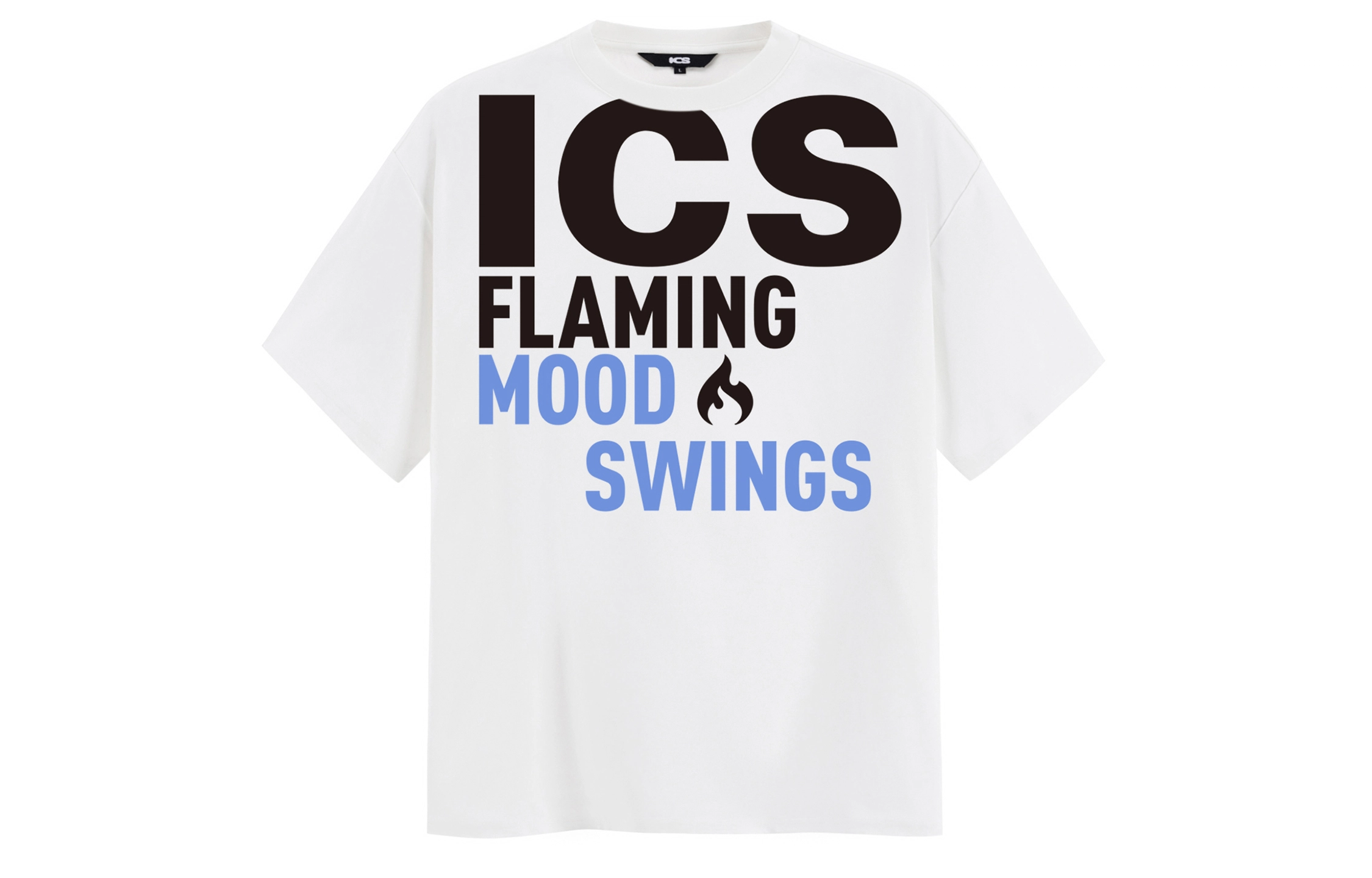 ICONS Lab ICS T