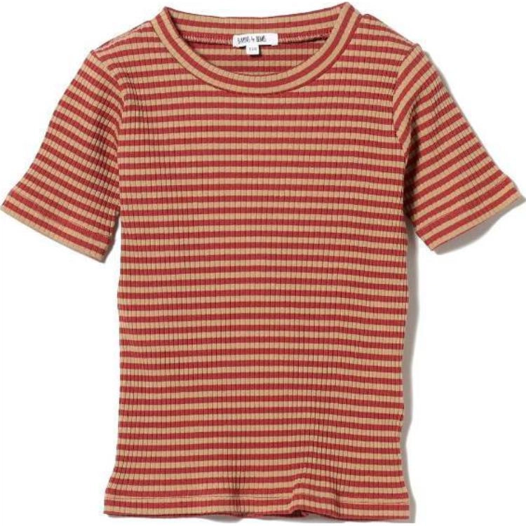 beams T