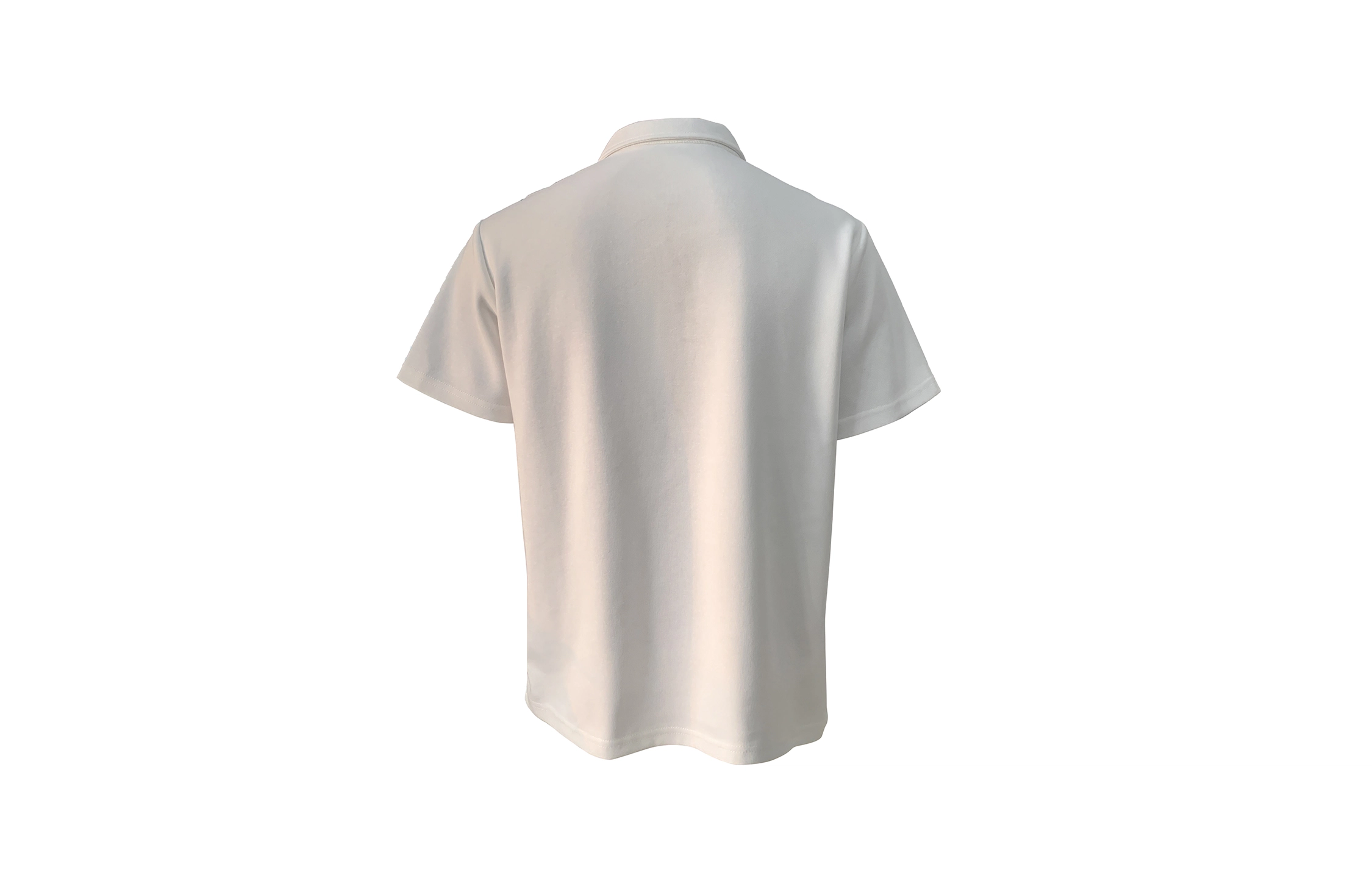 PAEFA Polo