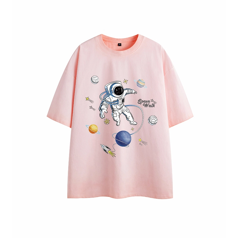 LSVE nasa T