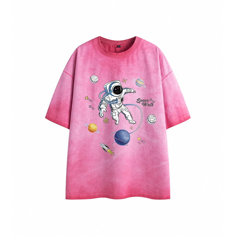 LSVE nasa T