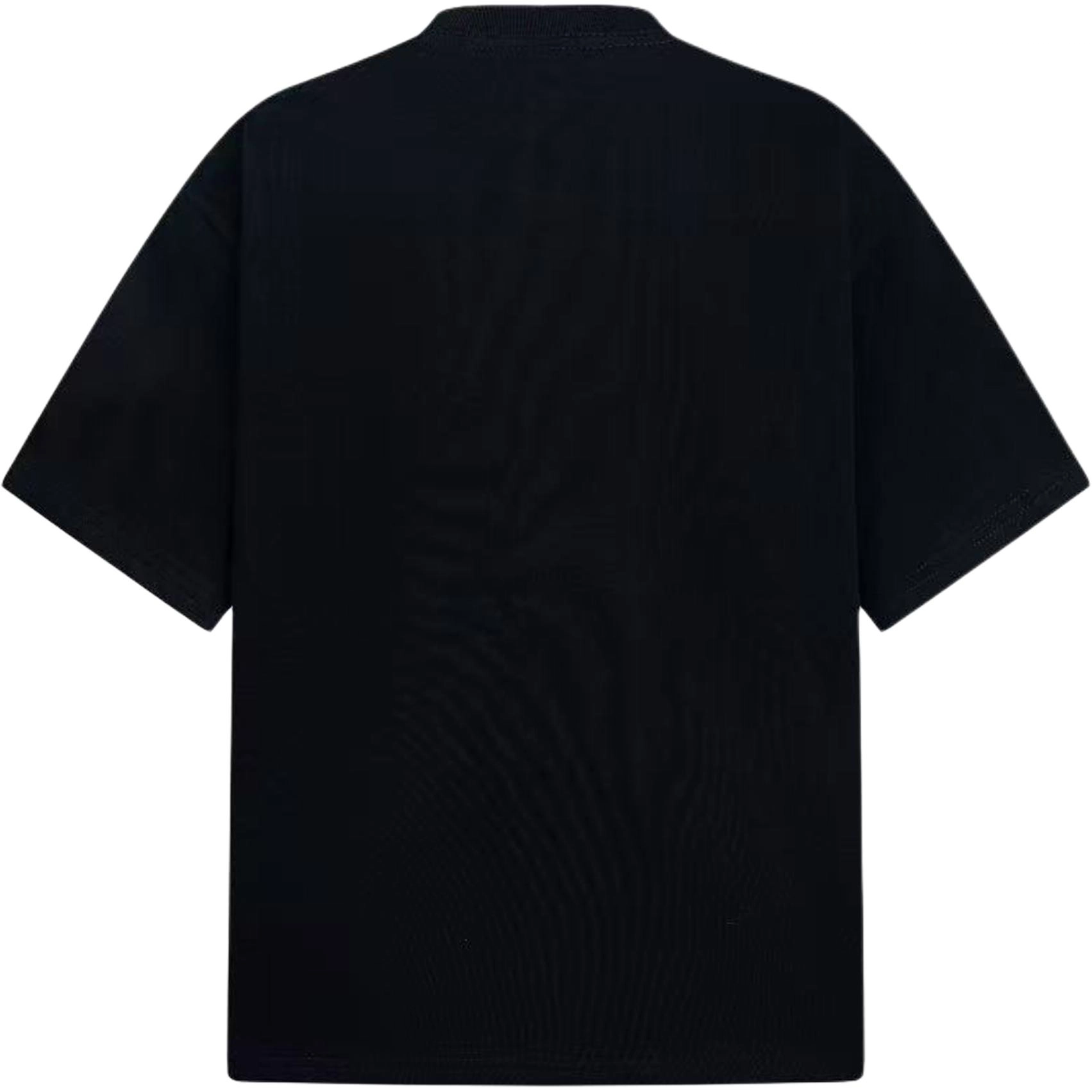 PAINT STAIN T