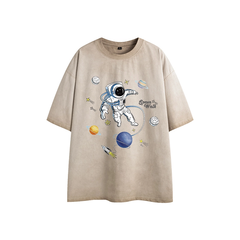 LSVE nasa T
