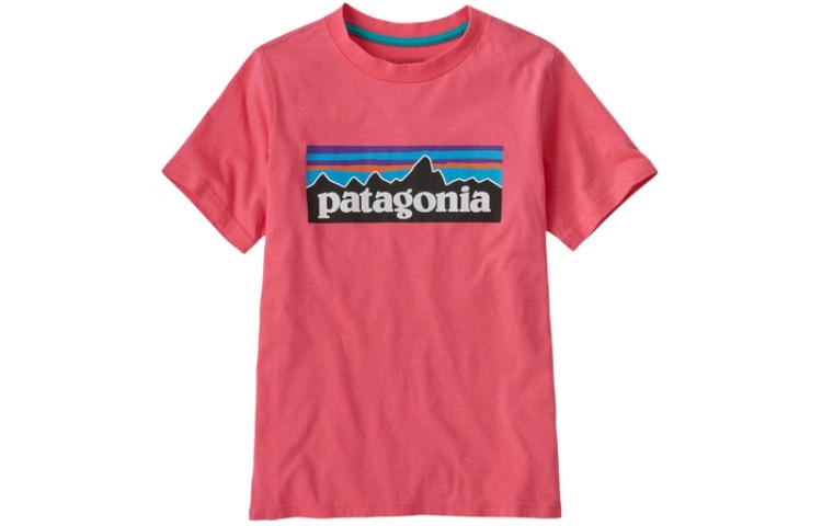patagonia P-6 Logo T-Shirt T