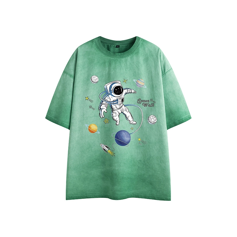 LSVE nasa T