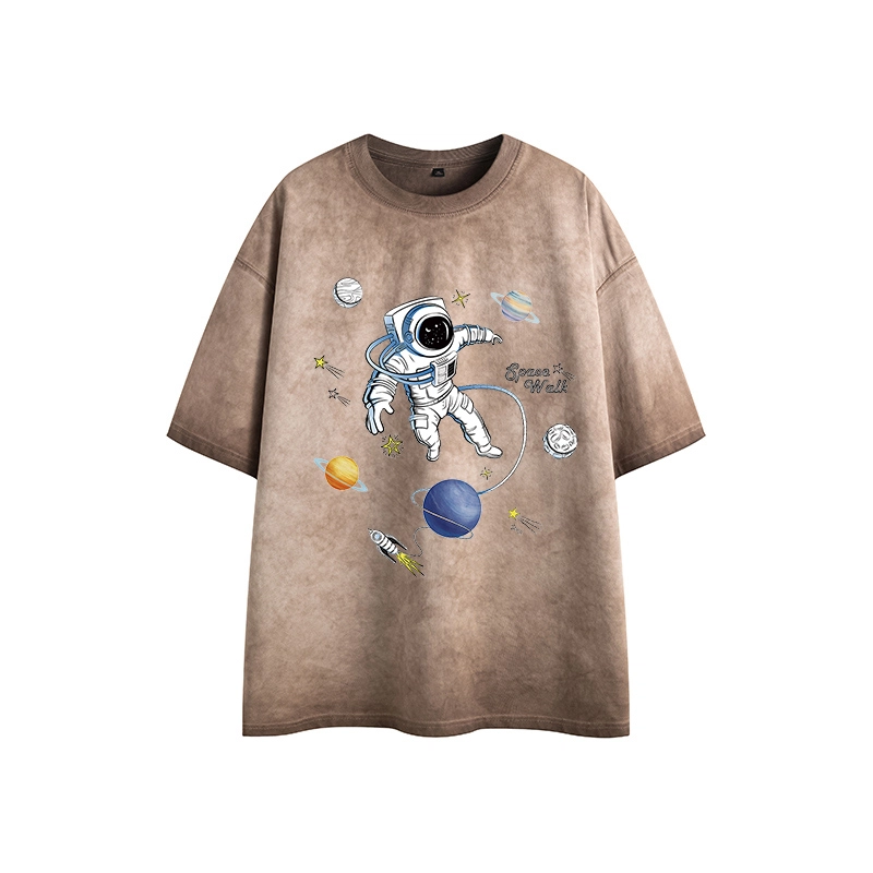 LSVE nasa T