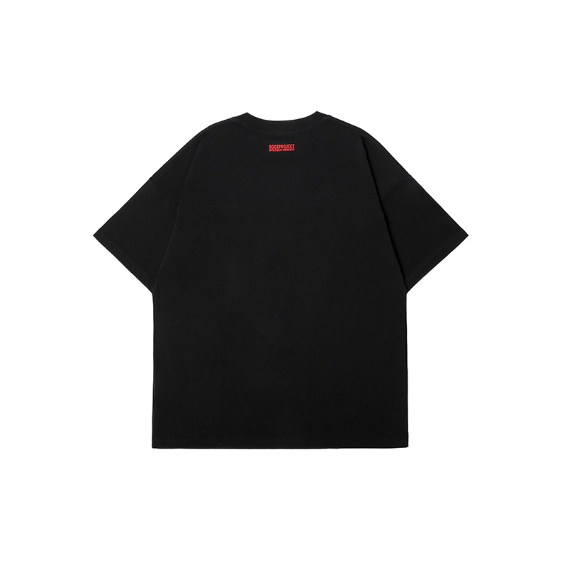SQQZ project T