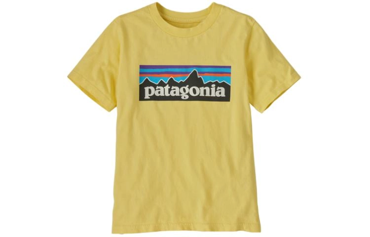 patagonia P-6 Logo T-Shirt T