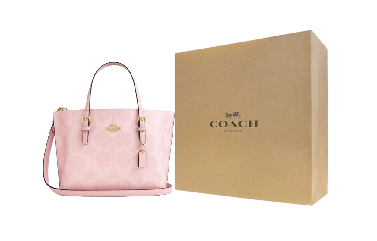 COACH Mollie 25 Tote