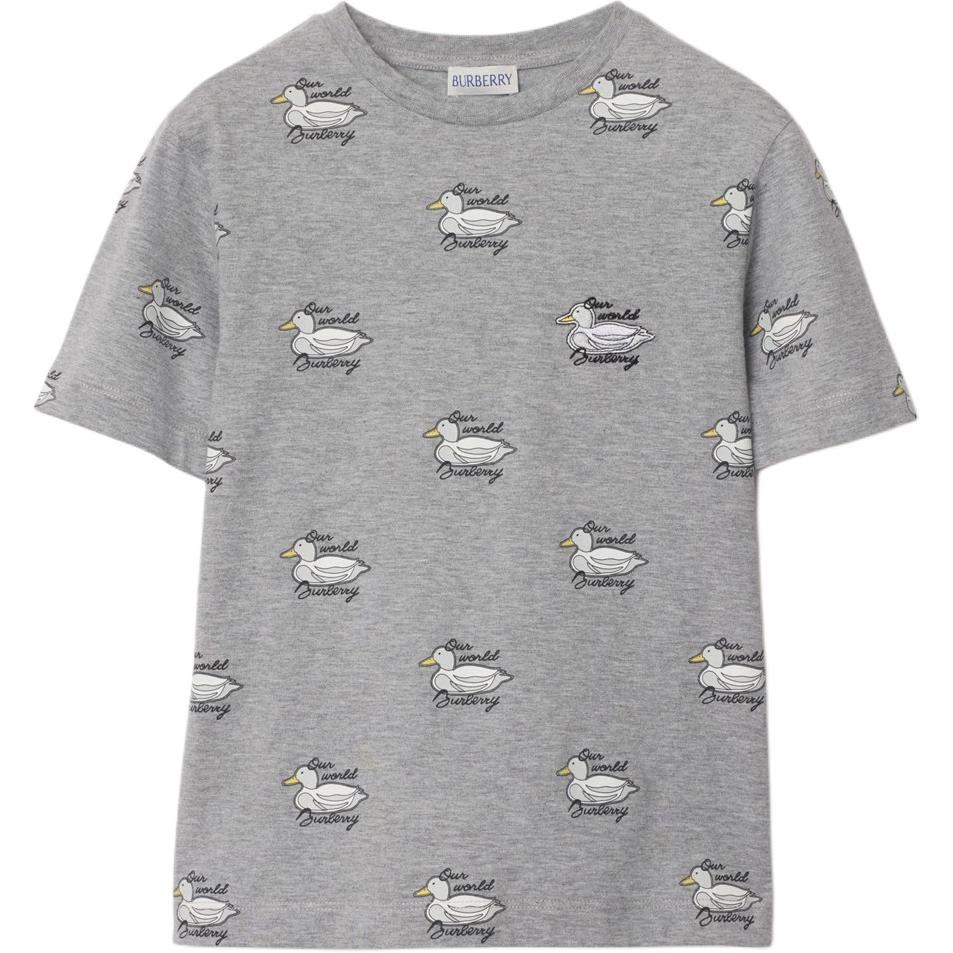 Burberry FW24 T