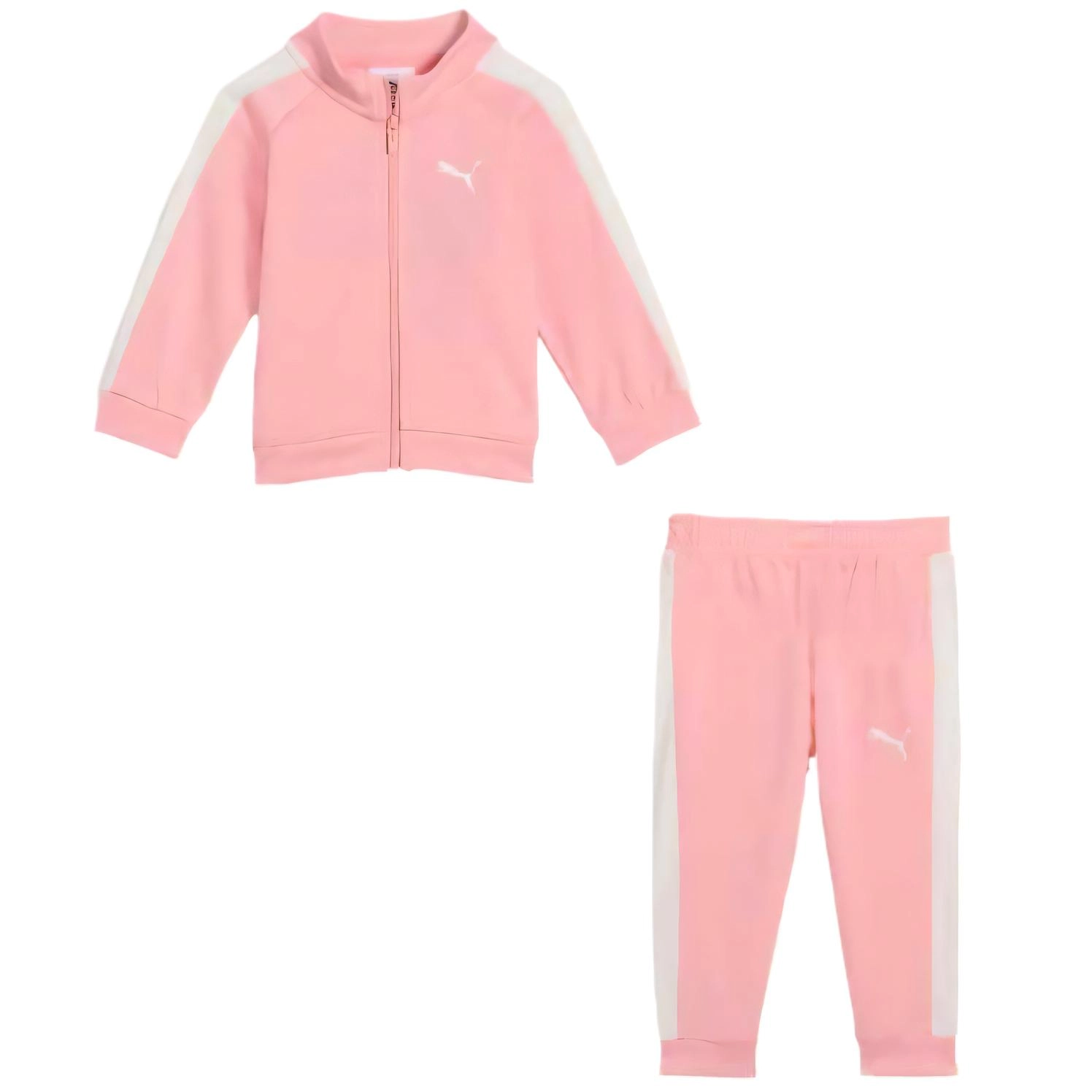 PUMA MINICATS T7 ALWAYS ON