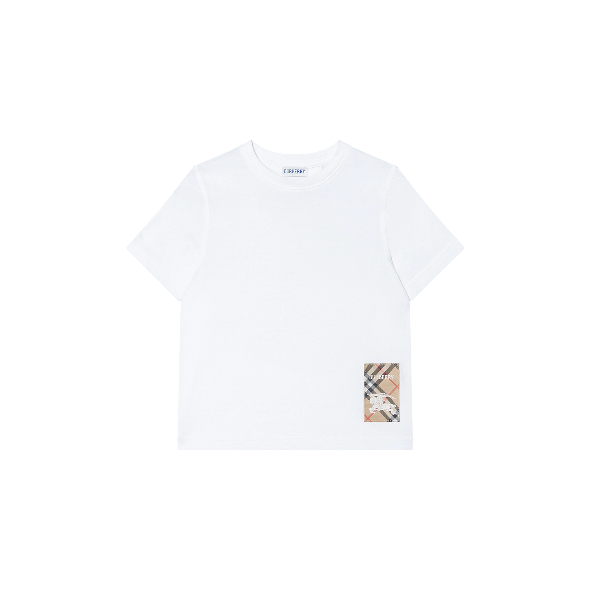 Burberry FW24 T
