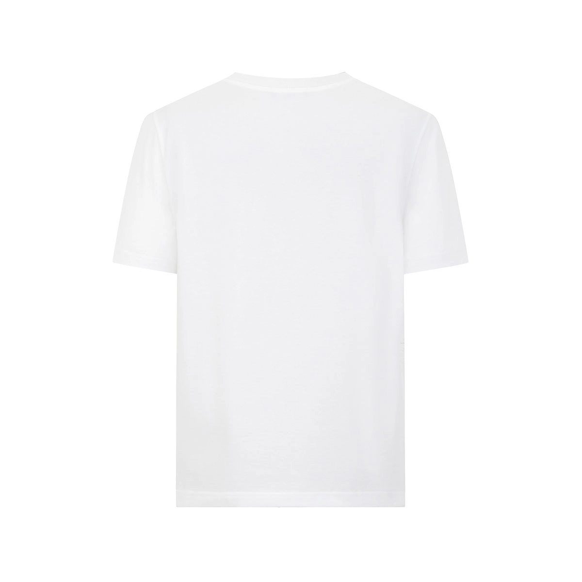 Cavalli Class T