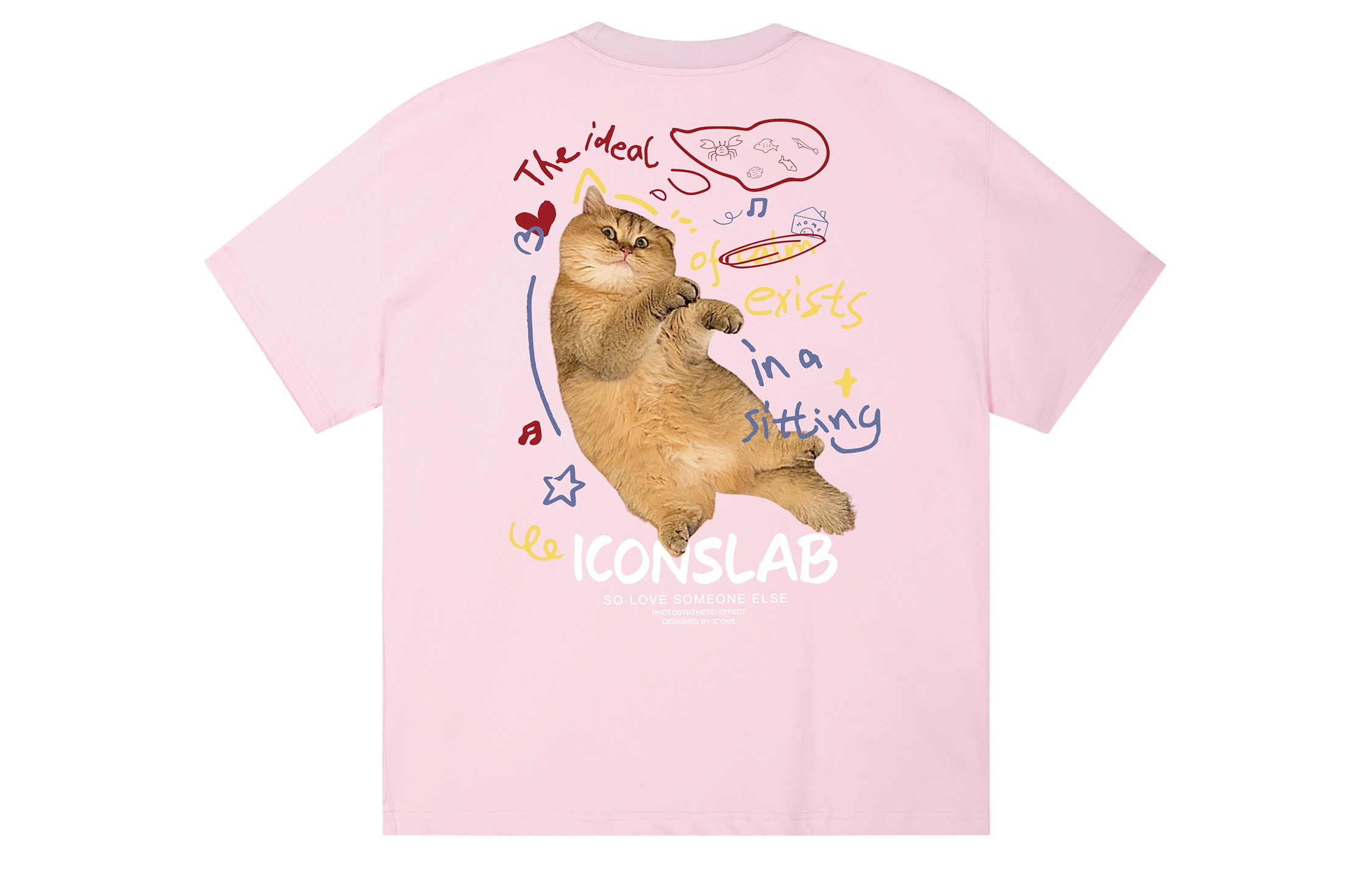 ICONS Lab T