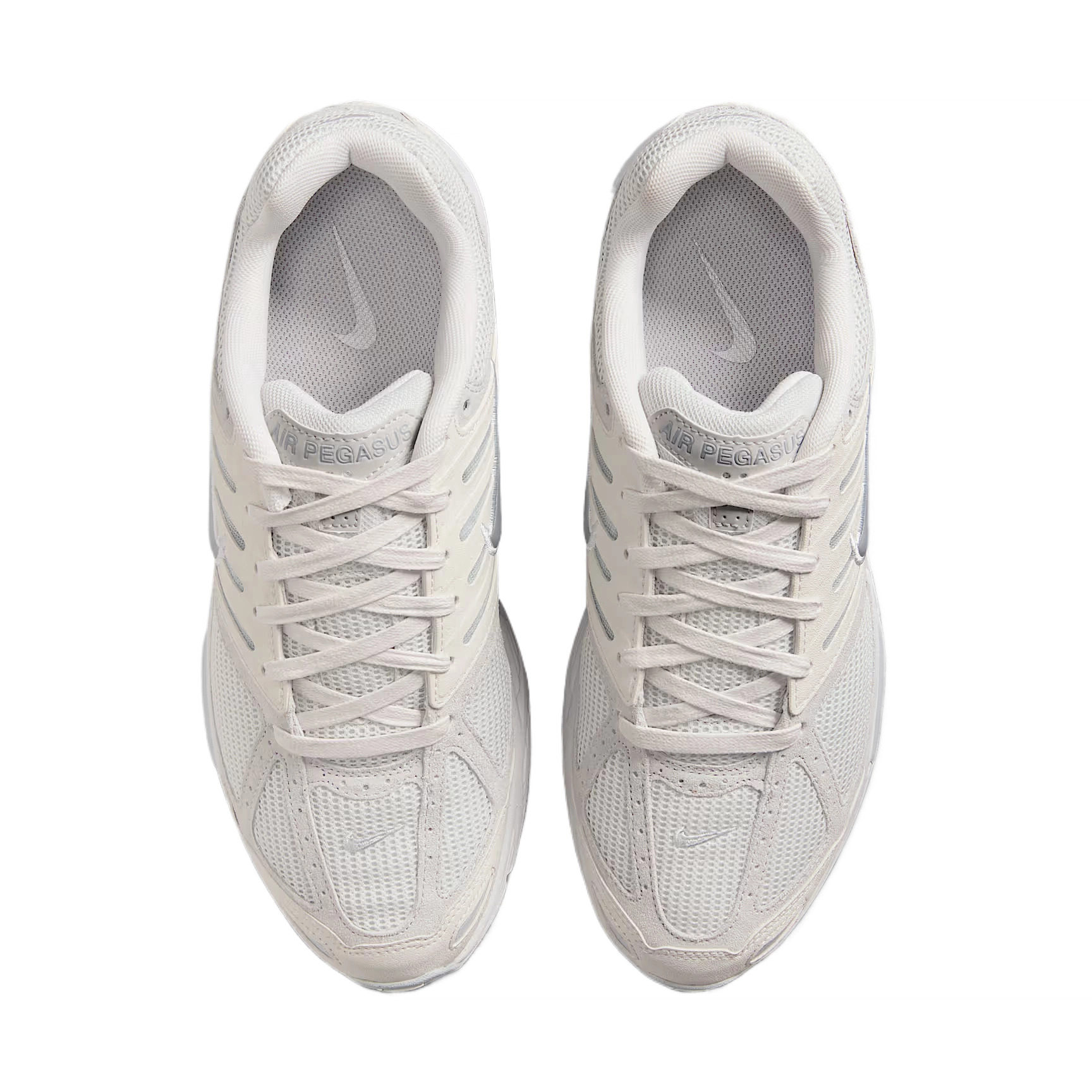 Nike Air Pegasus 2005 SE
