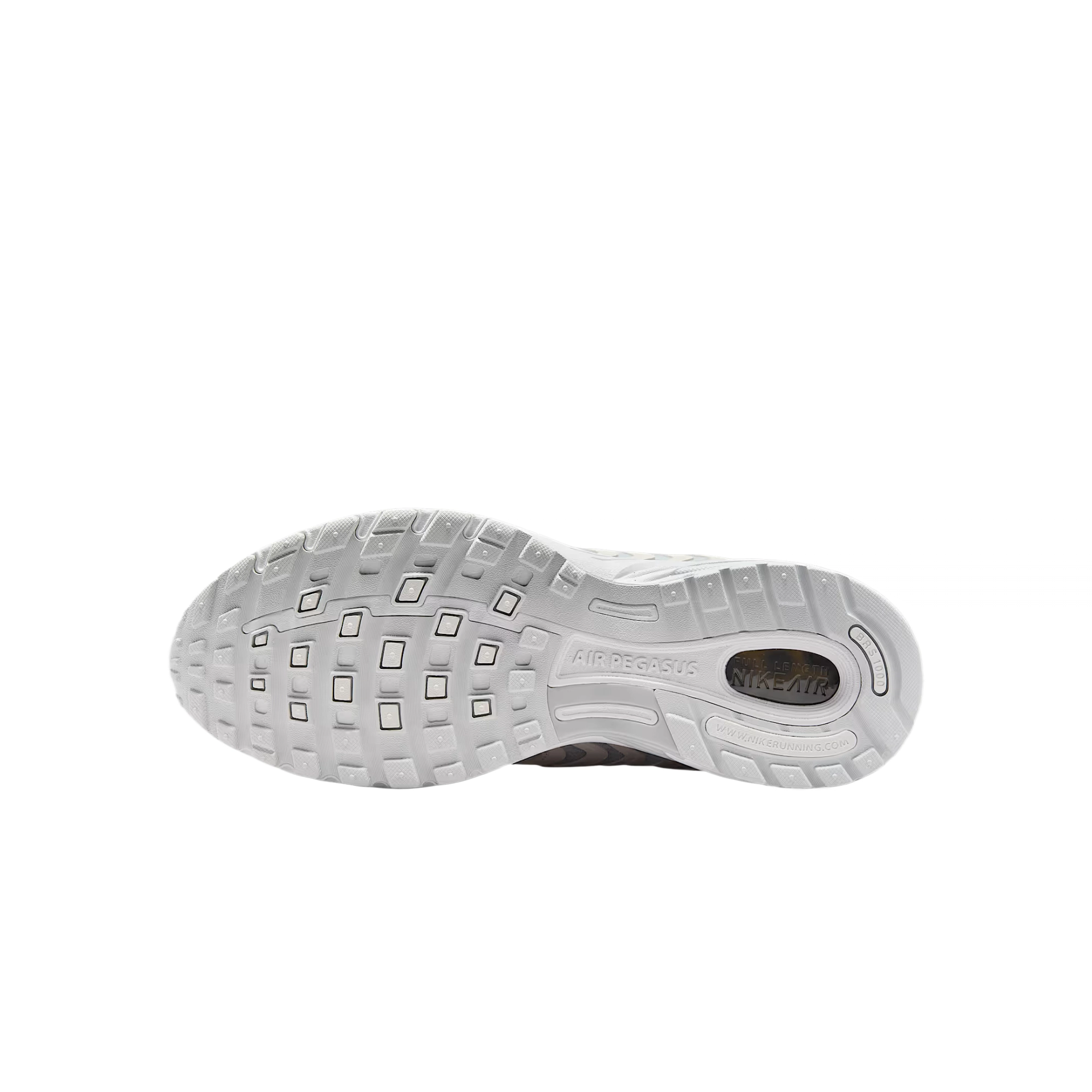 Nike Air Pegasus 2005 SE