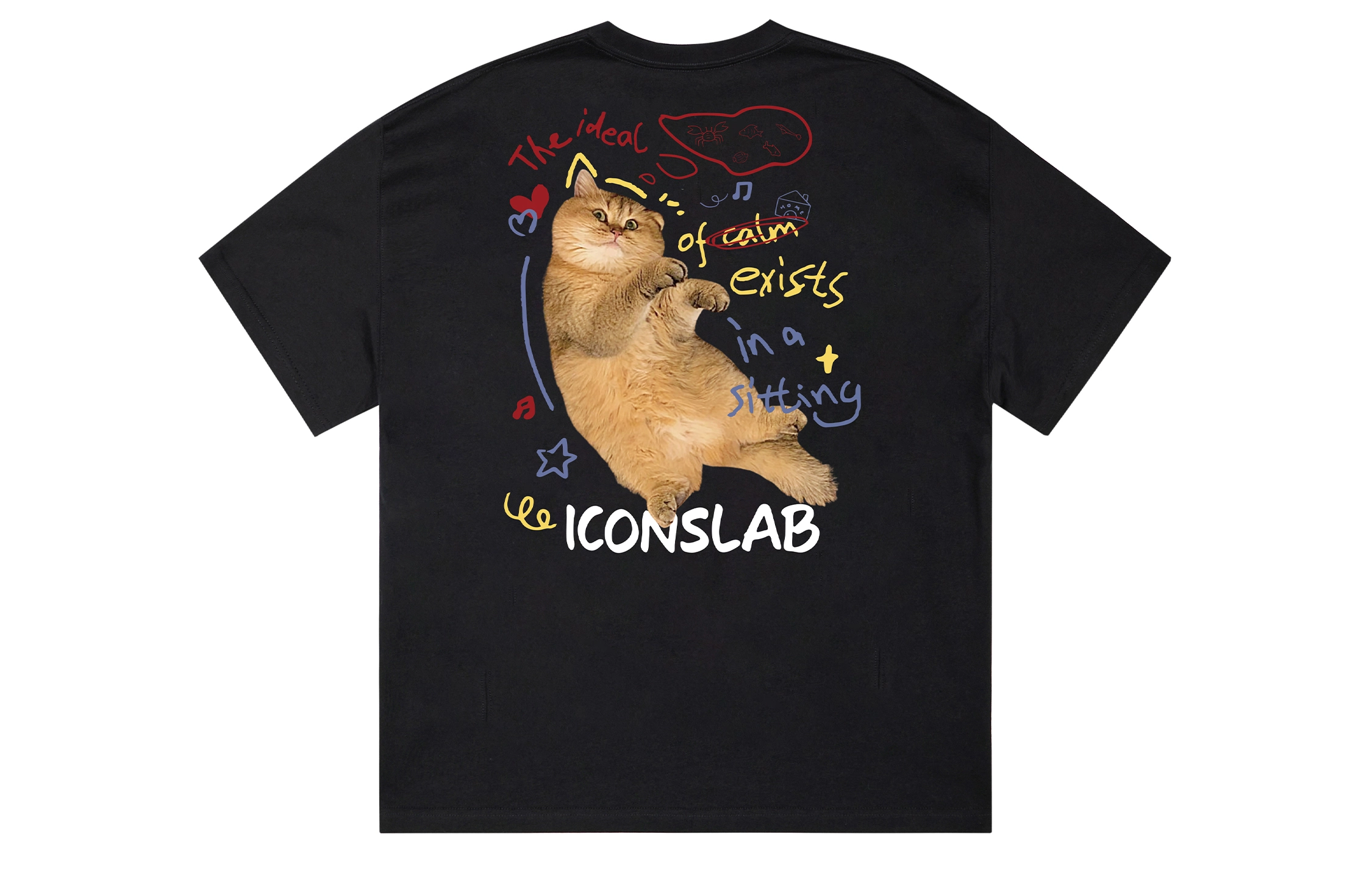 ICONS Lab T