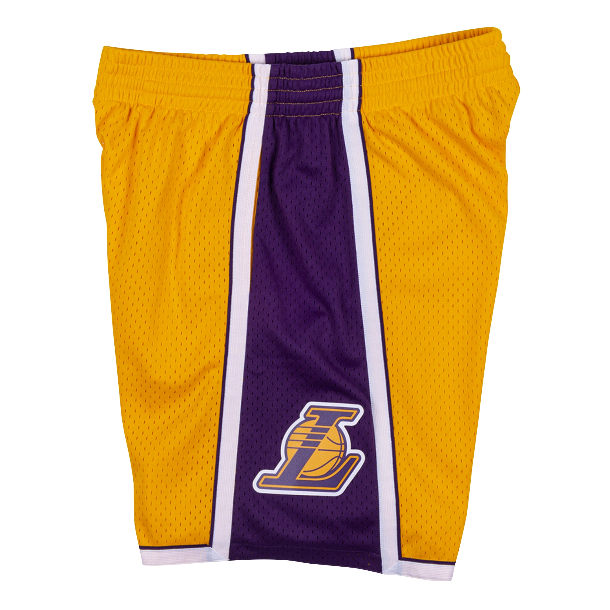 Mitchell Ness SW 09-10