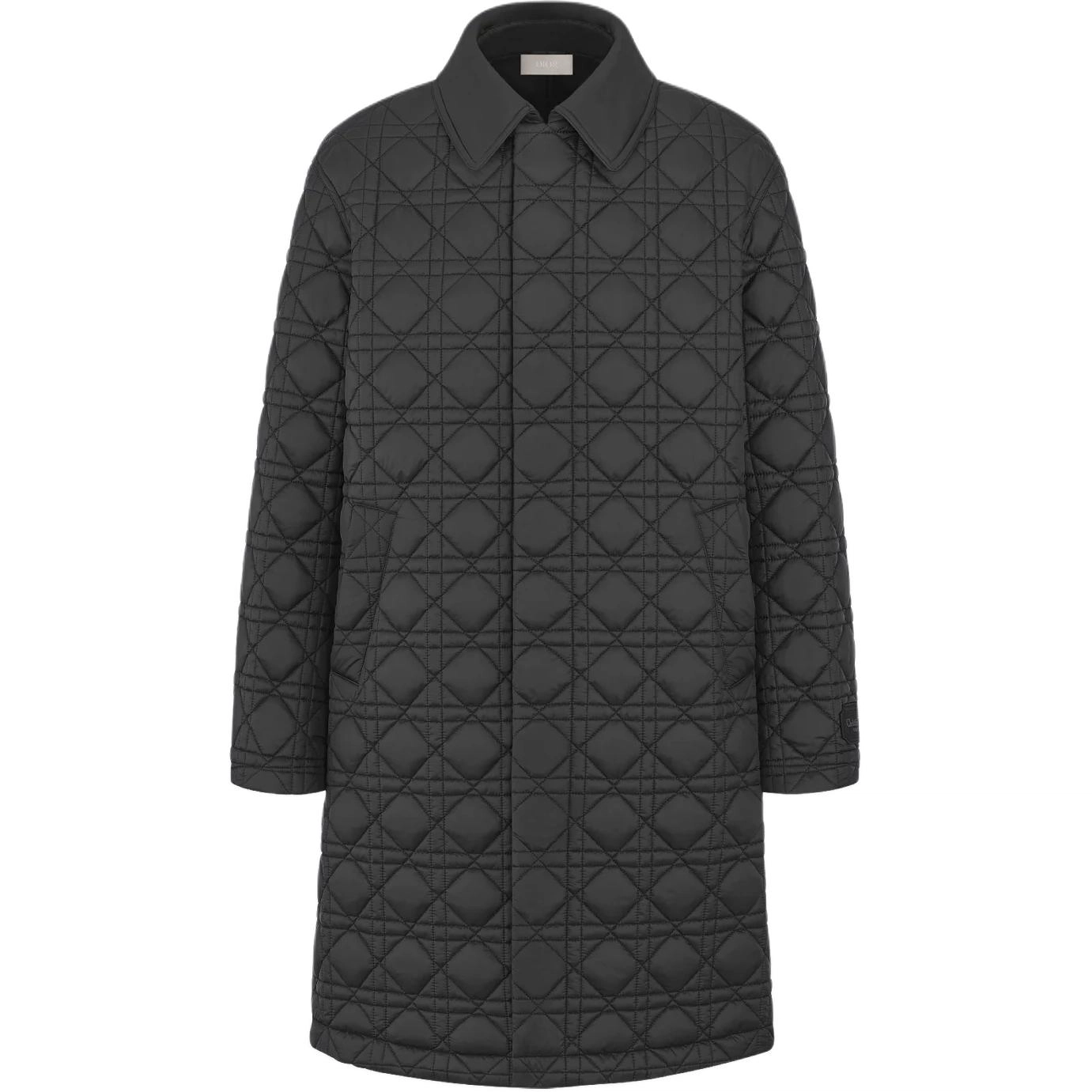 DIOR FW25