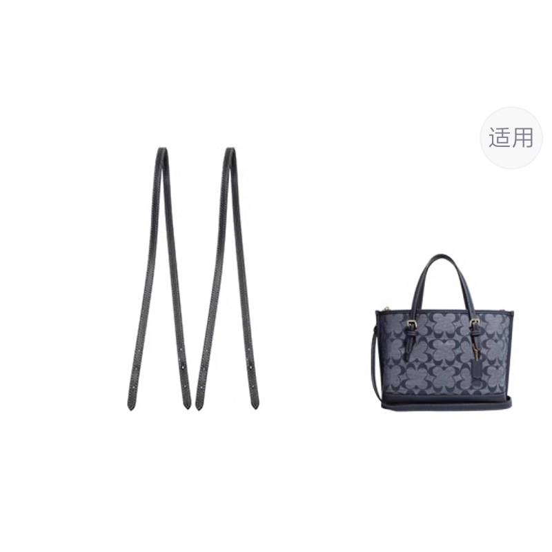 jingxi coachmollie25