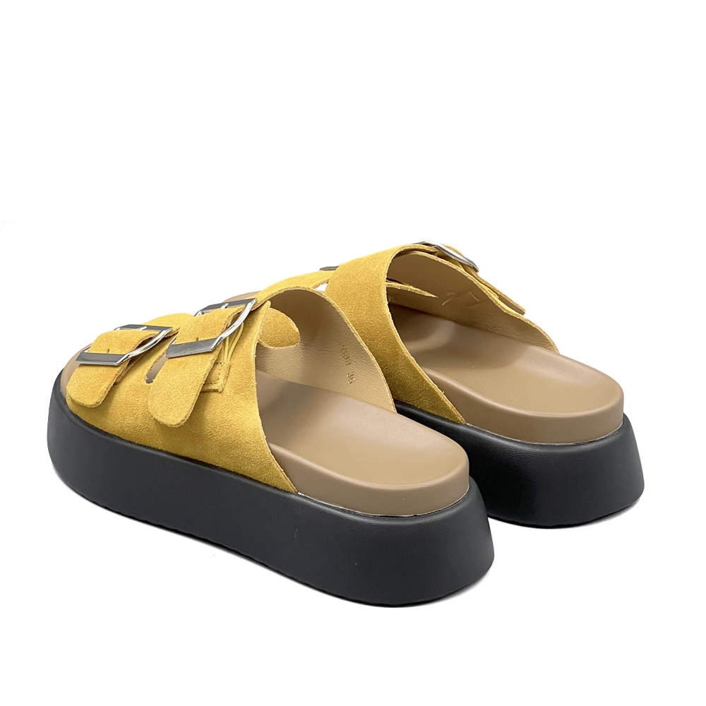 DOLIN COLLECTION