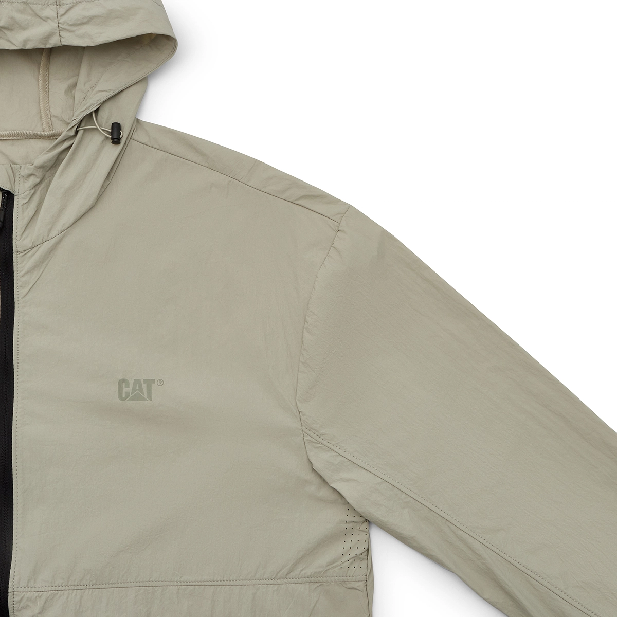 CAT SS25