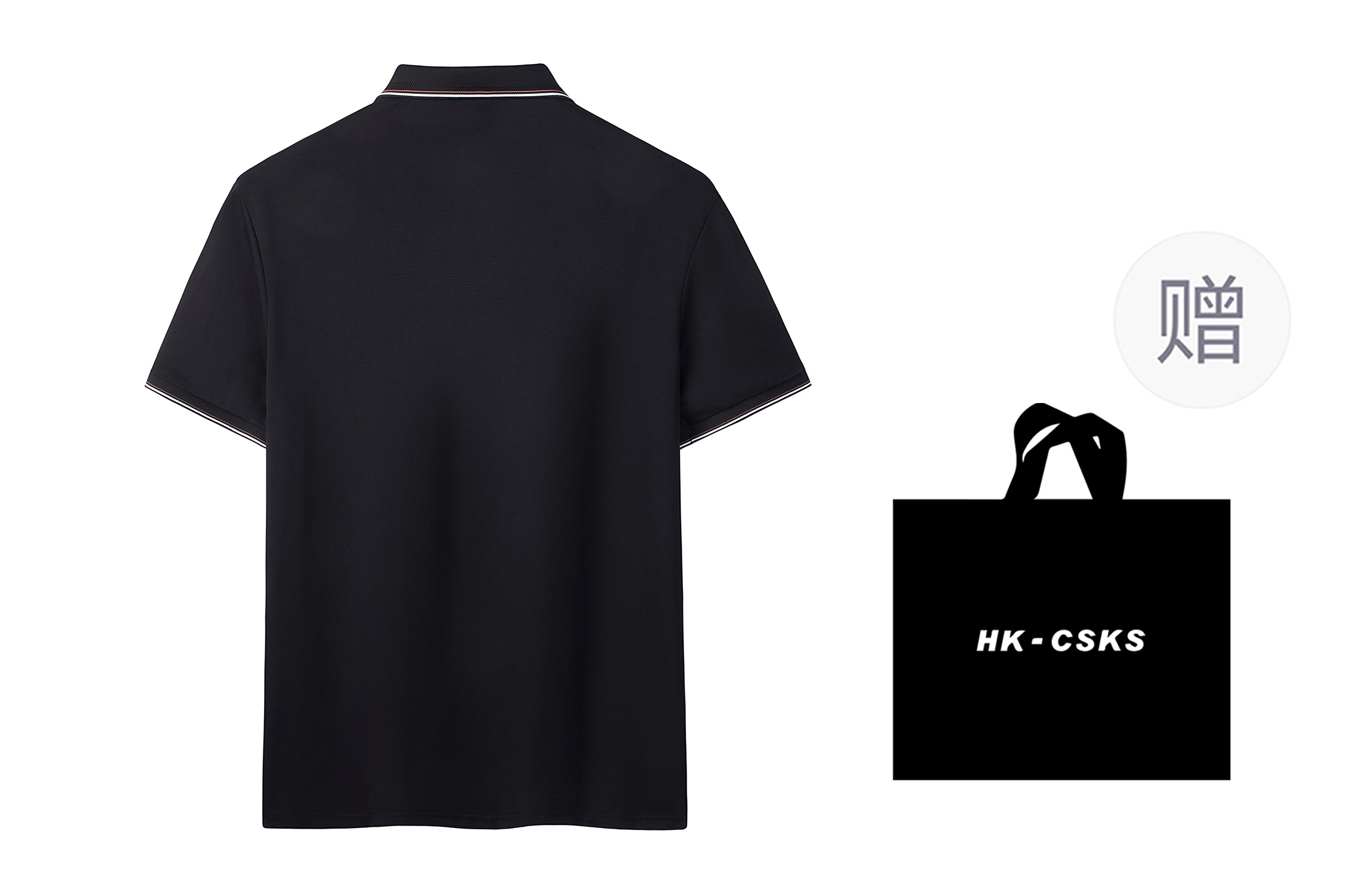 CSKS LogoPolo