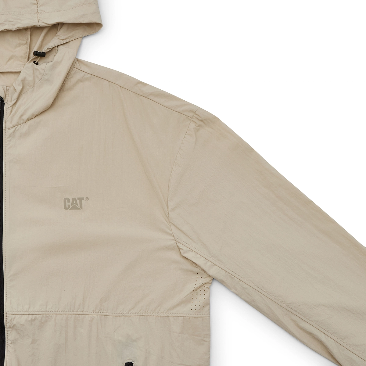 CAT SS25