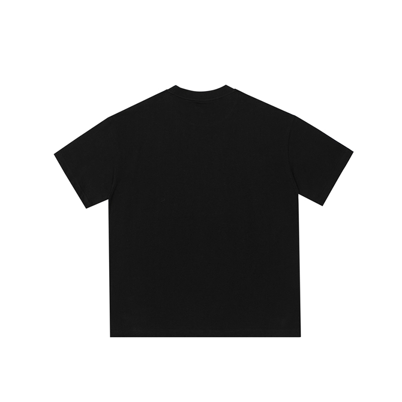 FEAROM T