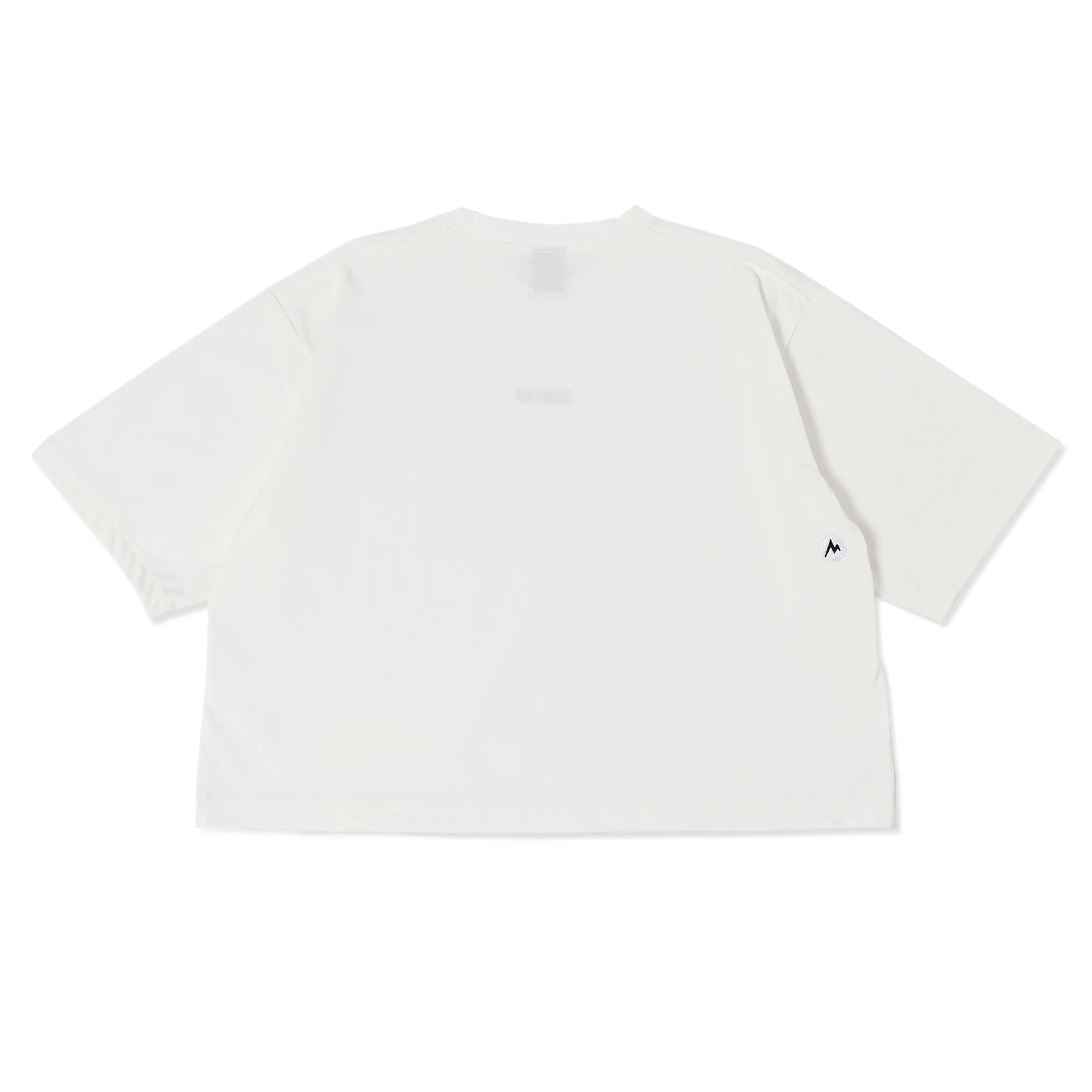 Marmot T