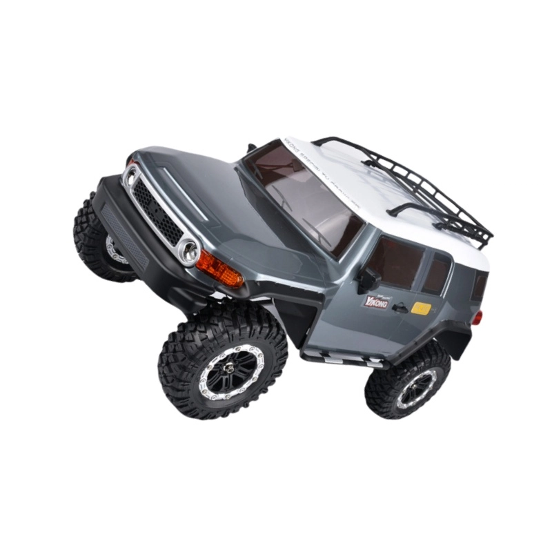 LEHUI TOYS 110 rc