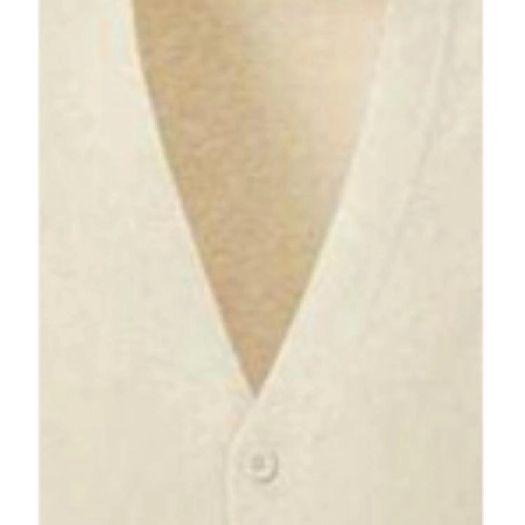 UNIQLO SS24 U V