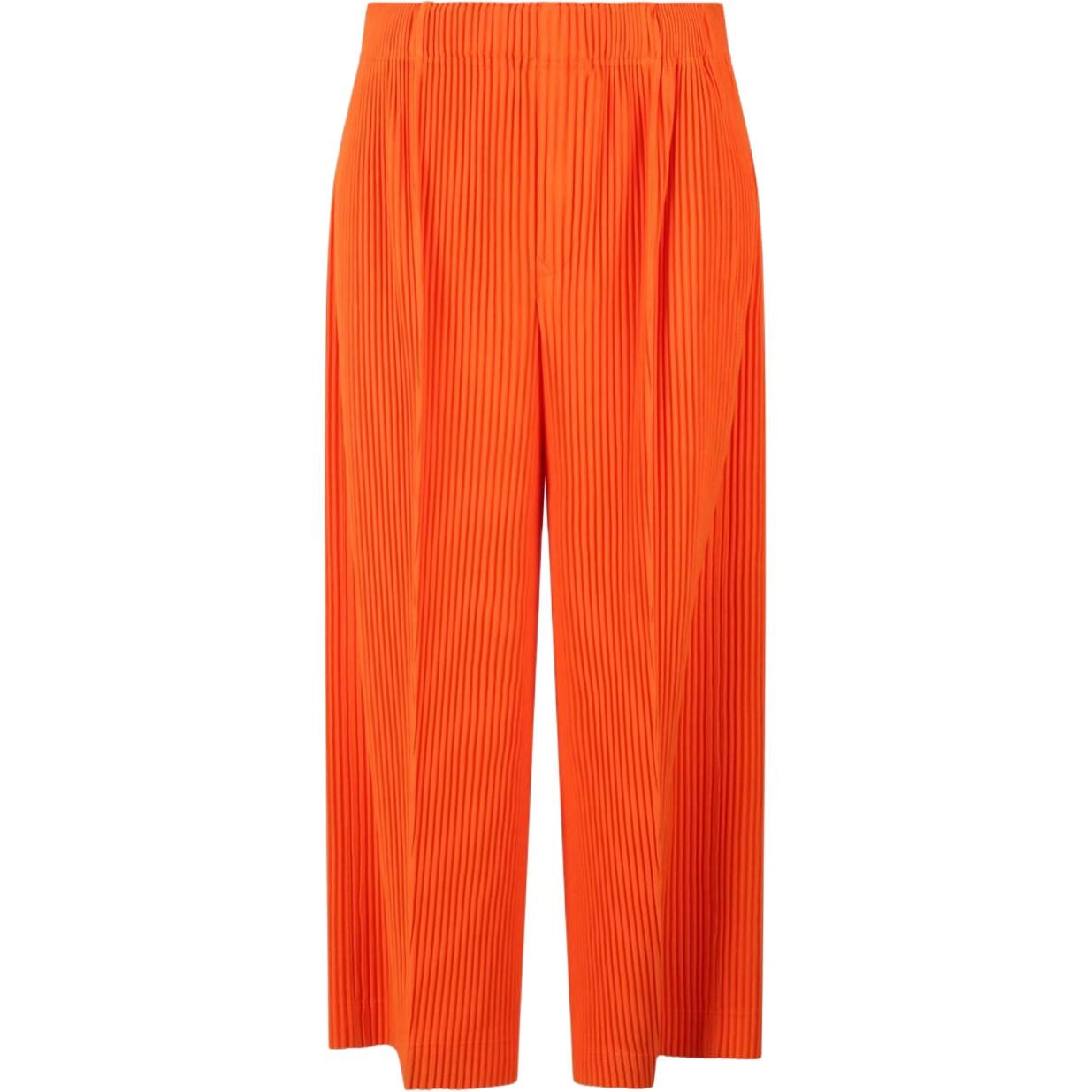 Homme Pliss Issey Miyake
