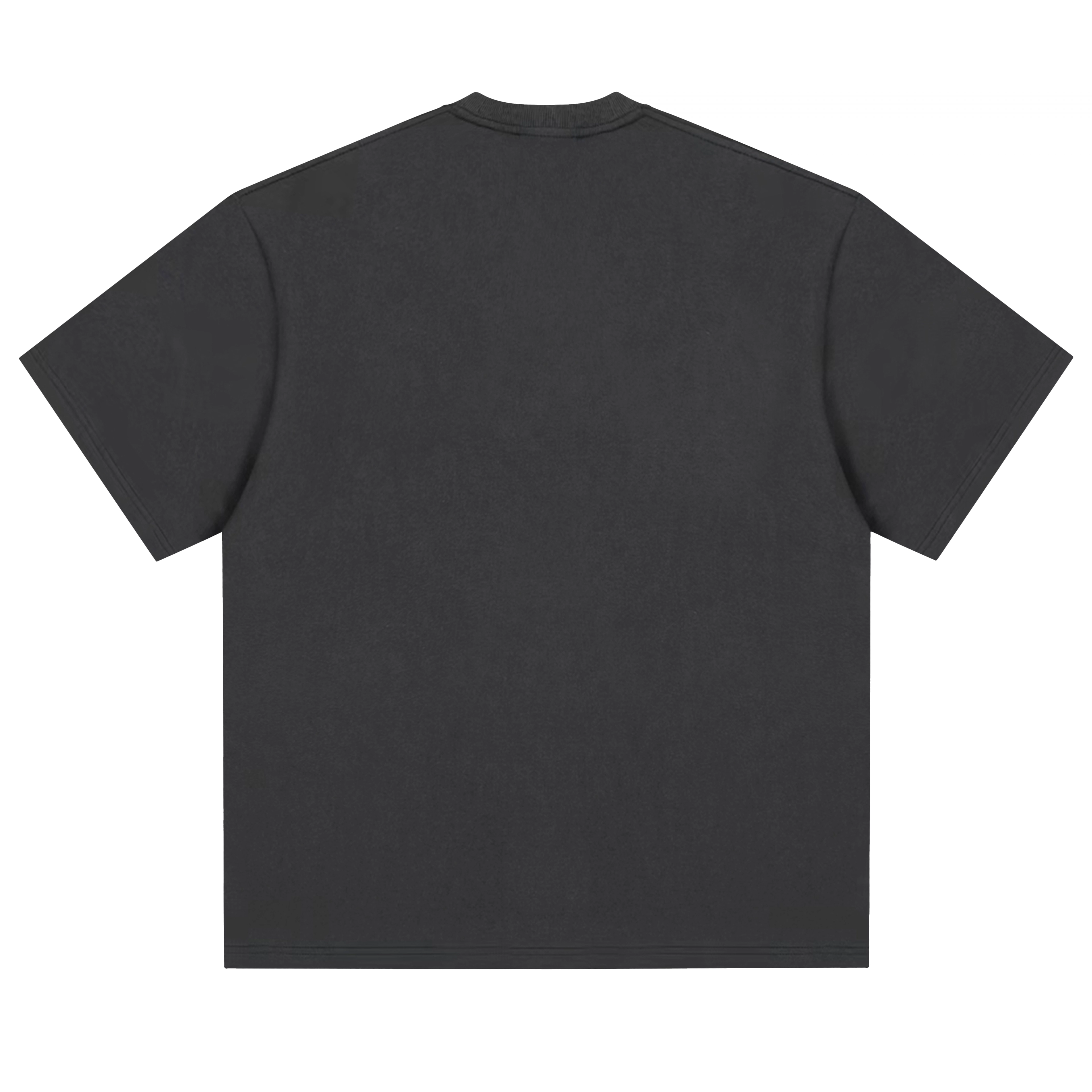 PUNCTILIOUS T