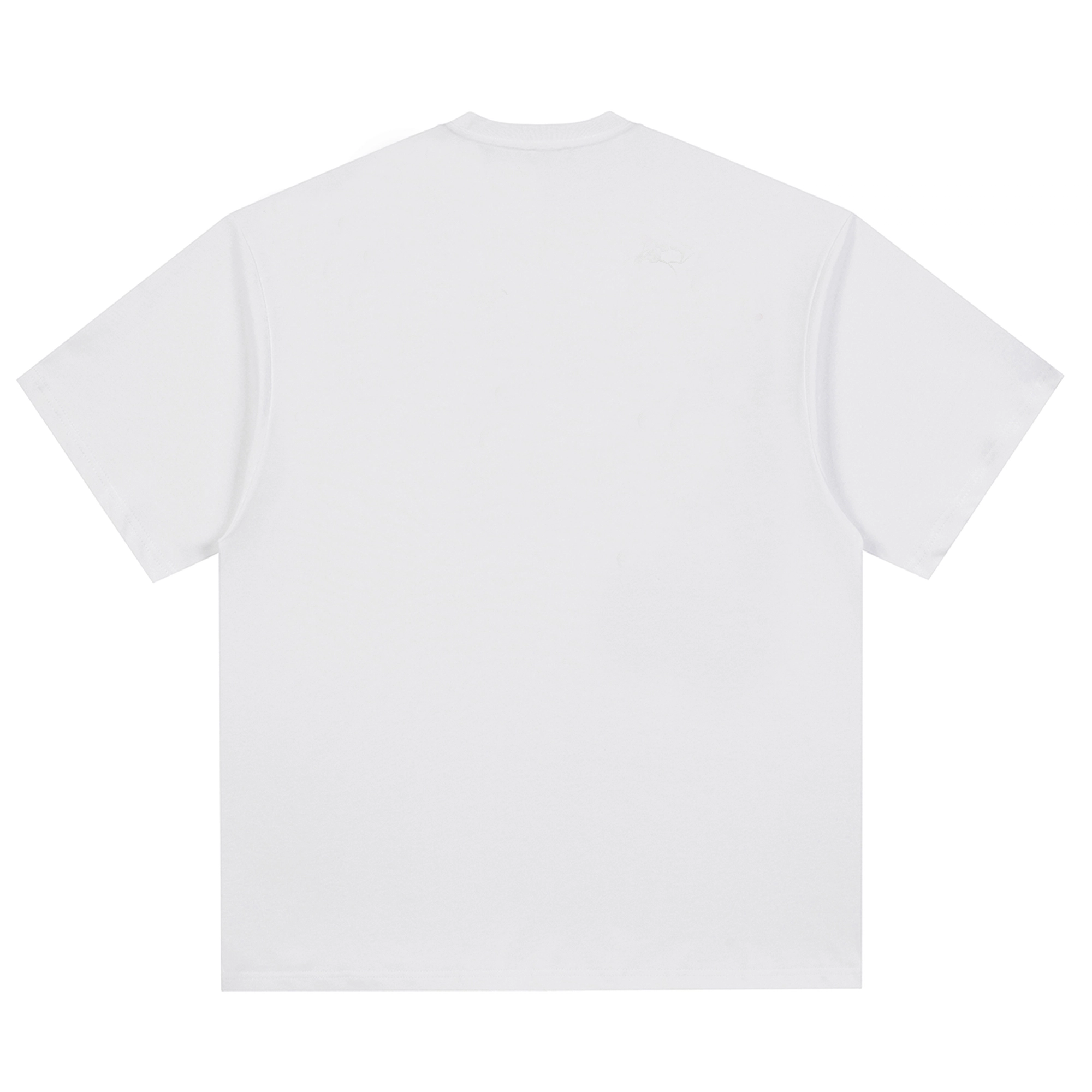 PUNCTILIOUS T