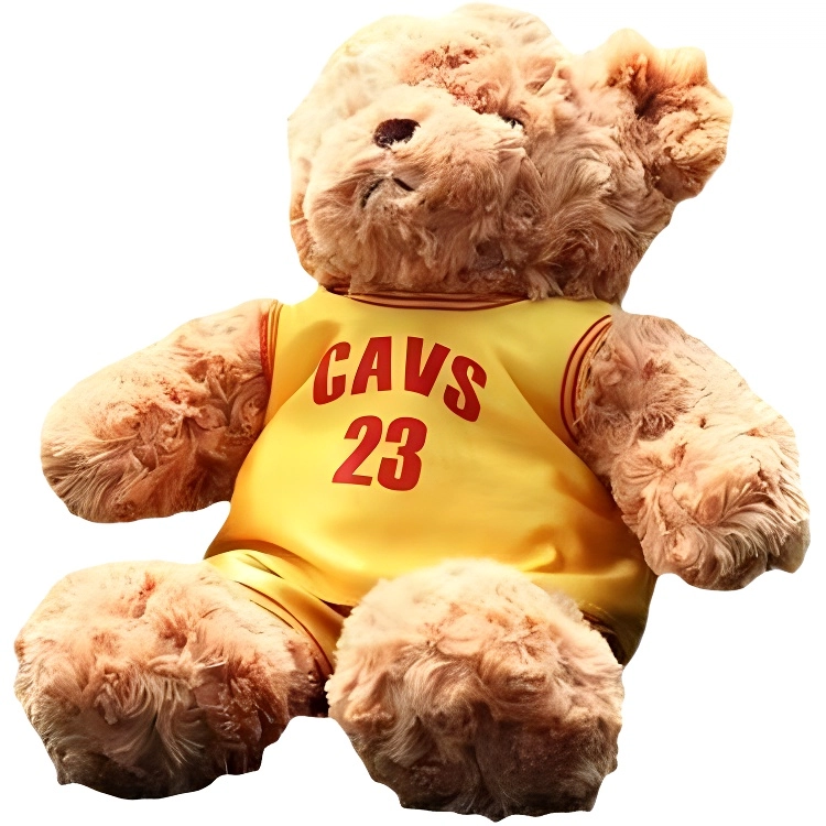 LEBOW NBA 25cm