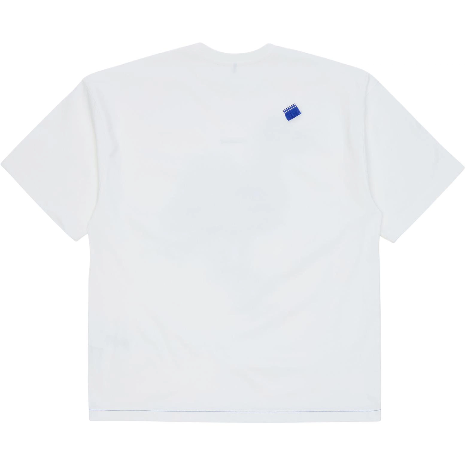 ADER ERROR T
