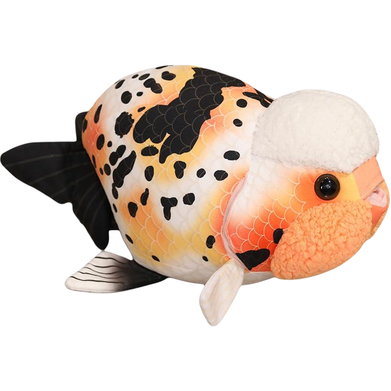 50cm