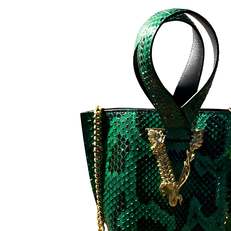 VERSACE Virtus VLogo