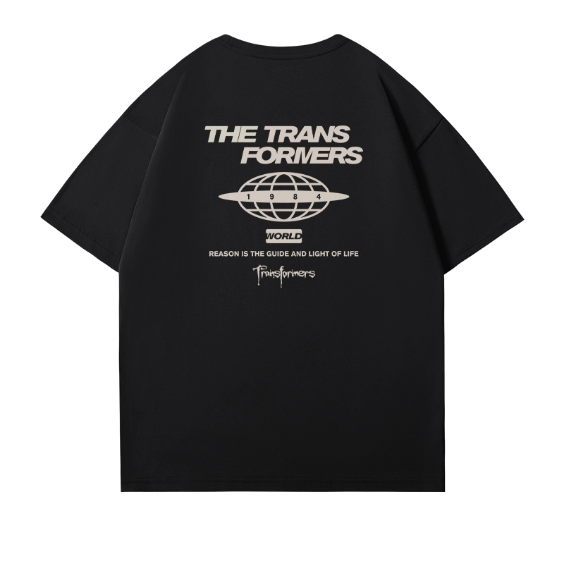 TRANSFORMERS 220gcityboyT