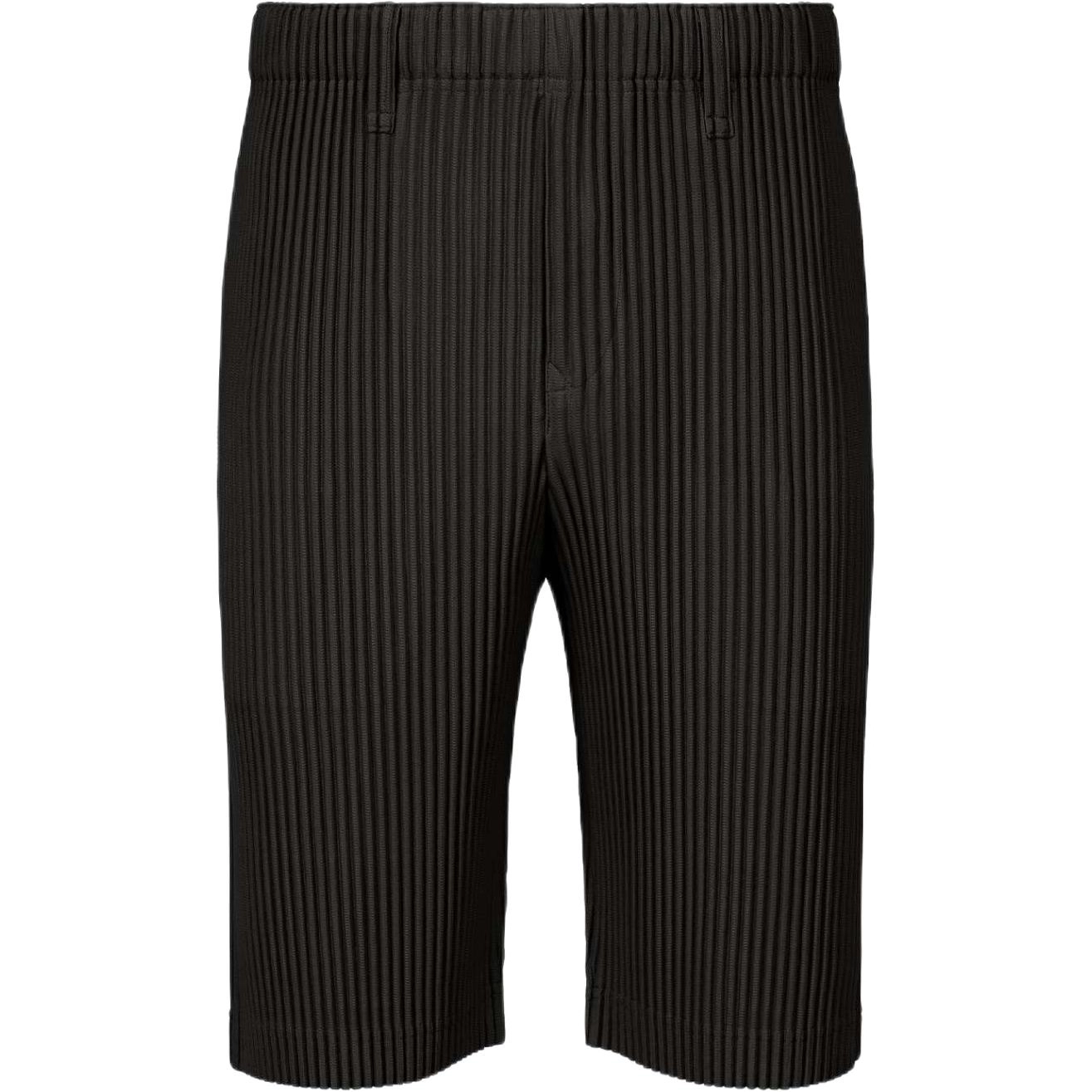 Homme Pliss Issey Miyake