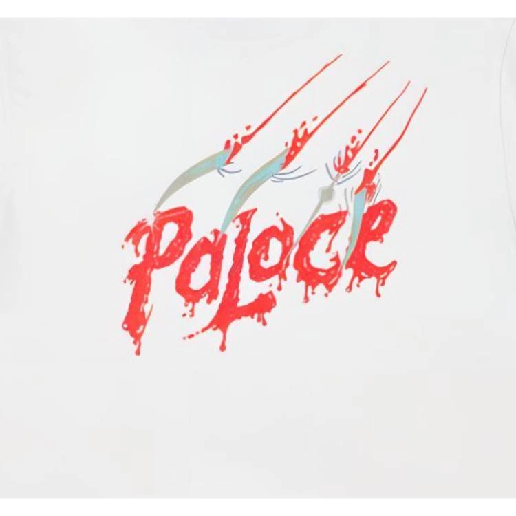 PALACE FW23 SCRATCHY T-SHIRT T