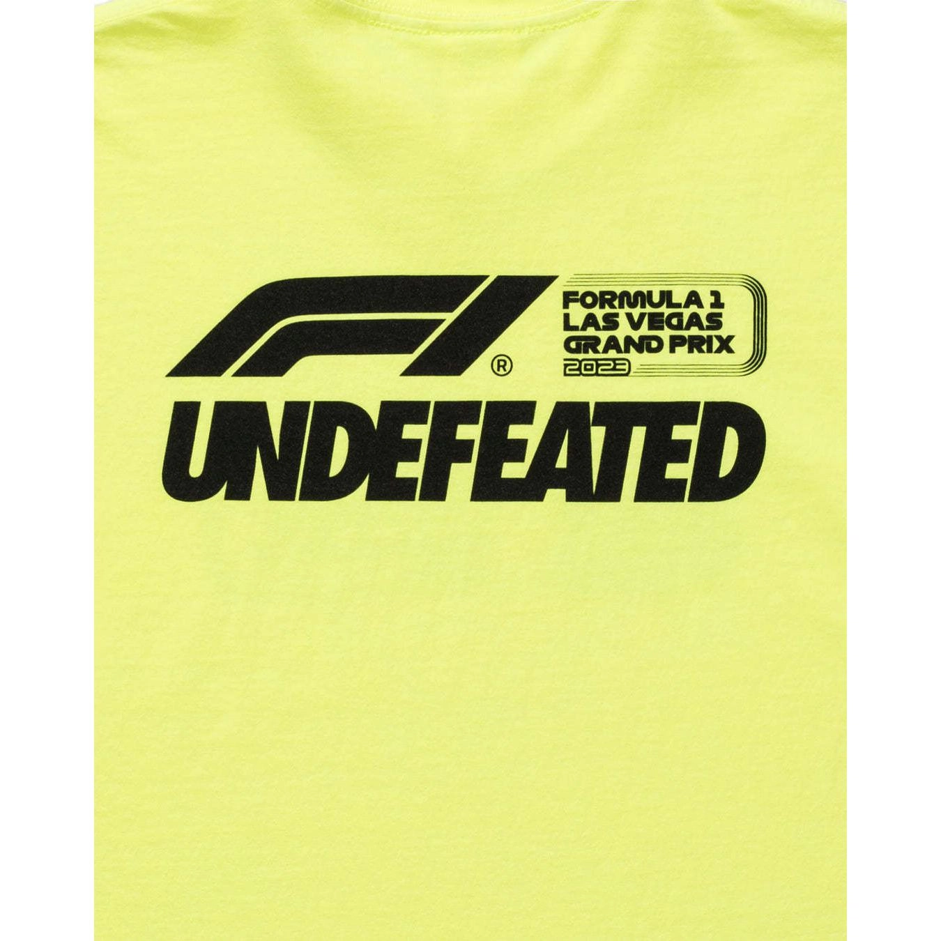 UNDEFEATED x F1 LVGP F1 LVGP LogoT