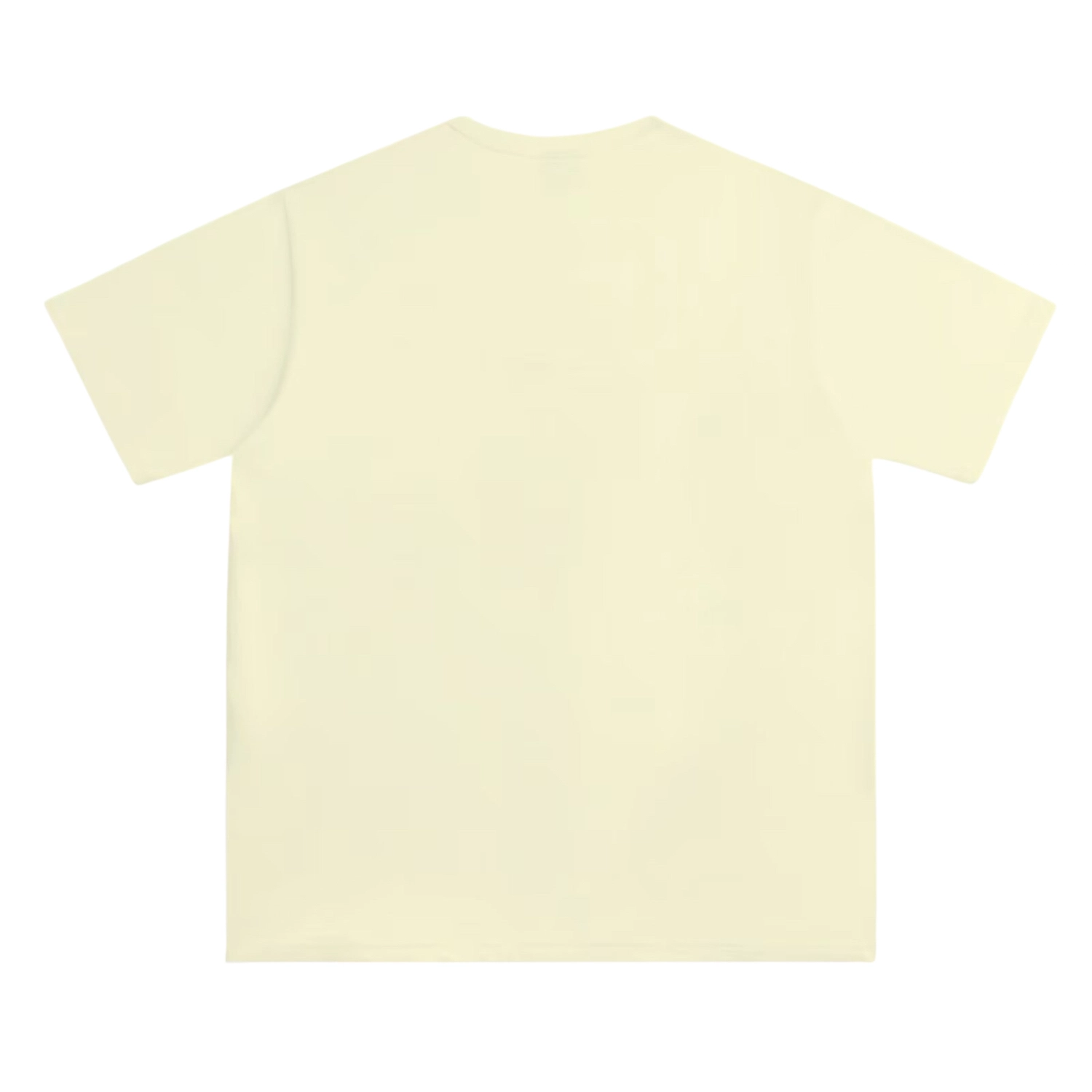 PAINT STAIN T