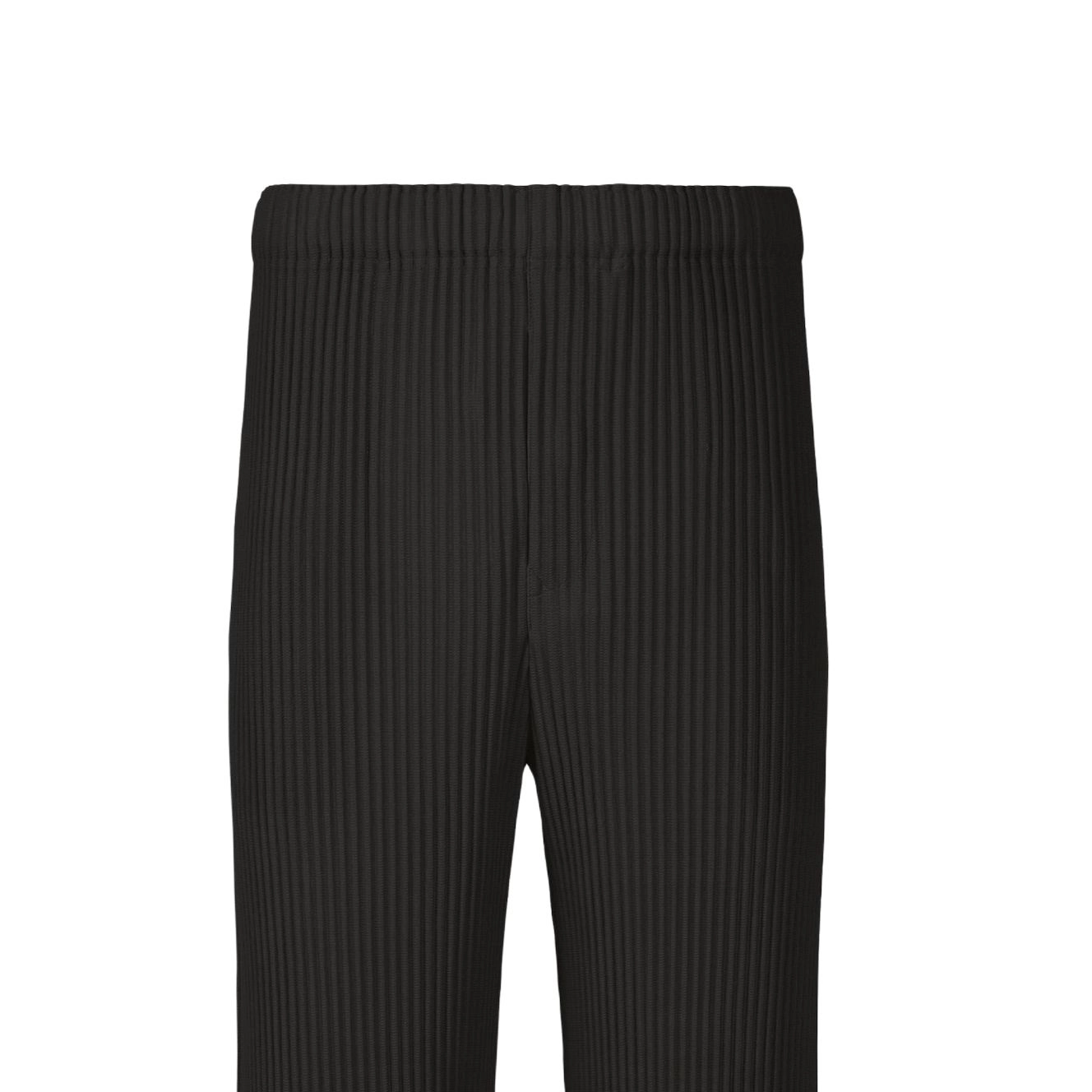 Homme Pliss Issey Miyake