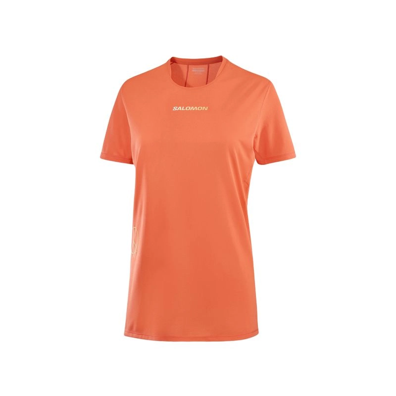 SALOMON T