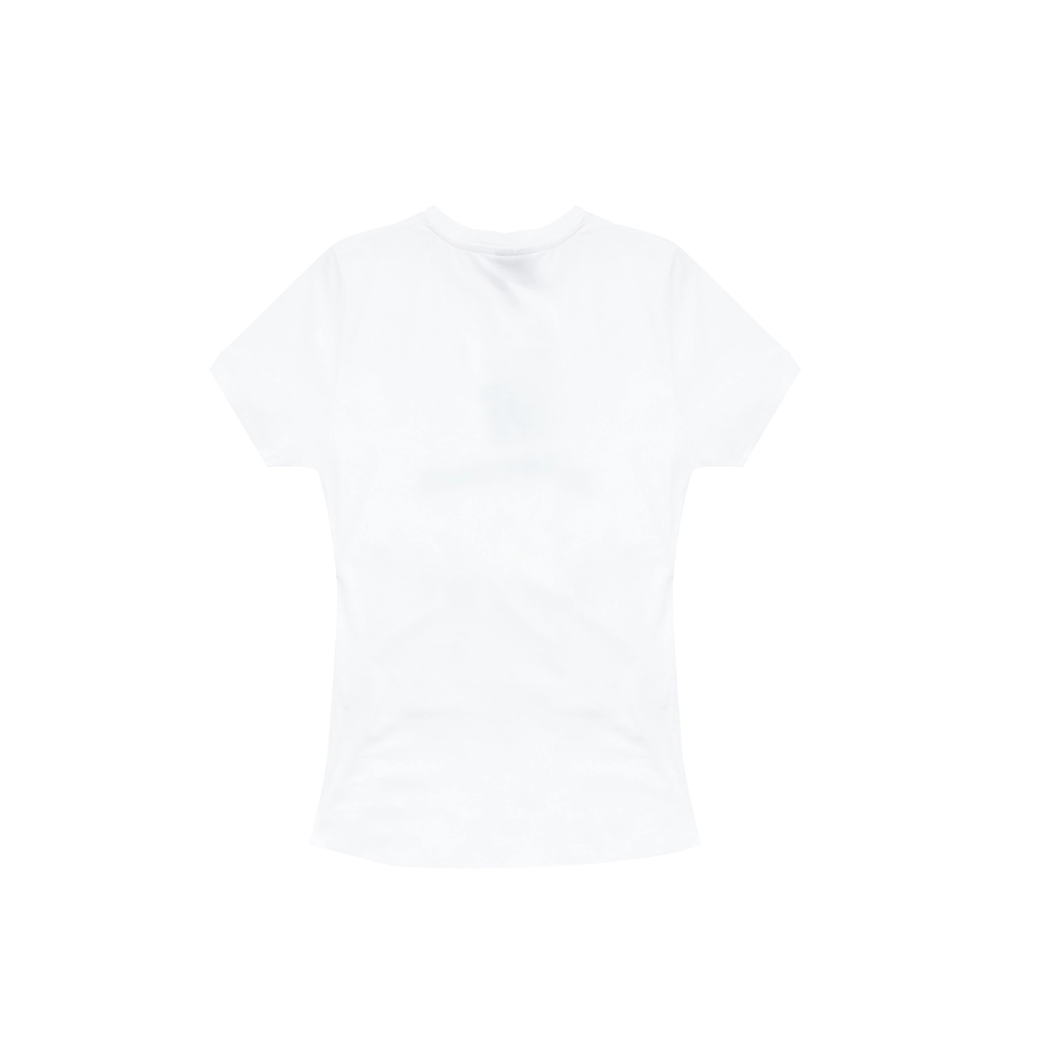FDR logo T